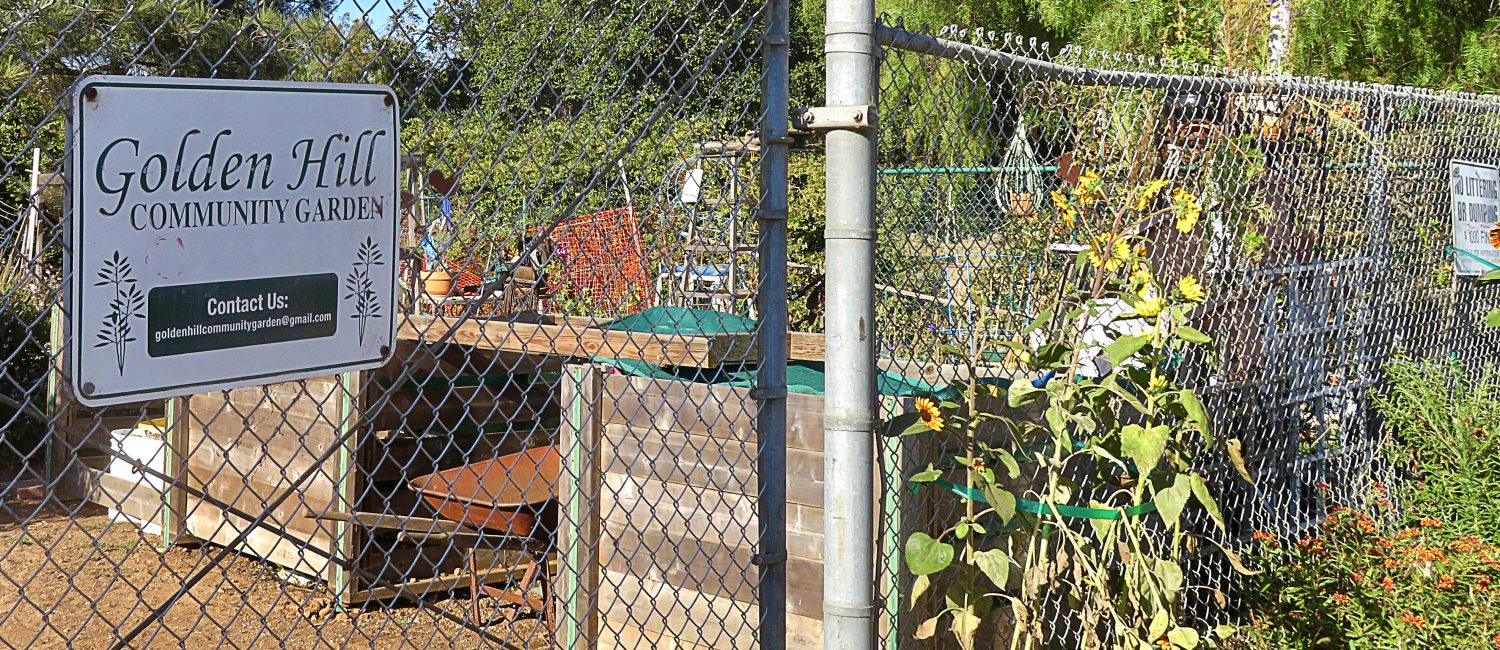 Golden Hill Community Garden